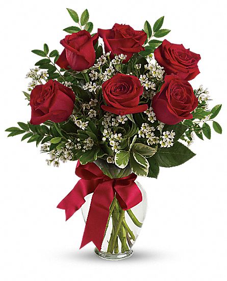 5 crvenih ruža - online cvećara
